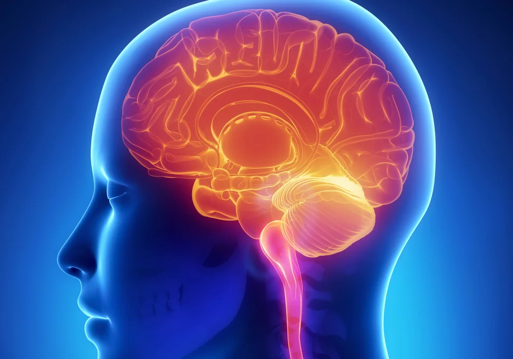 مركز جراحة المخ والأعصاب